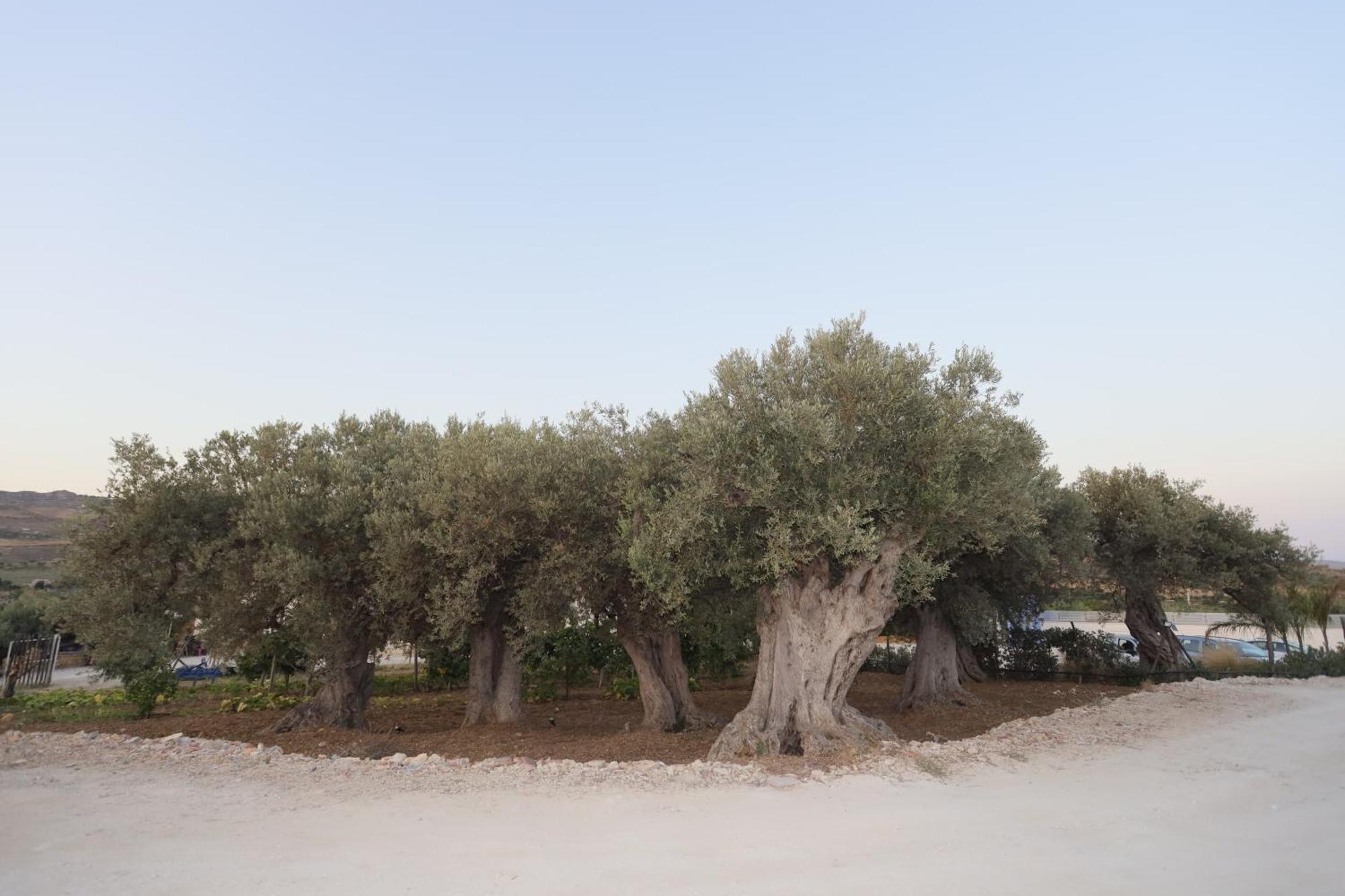 Relais Dea Degli Ulivi Hotel Agrigento Exterior photo